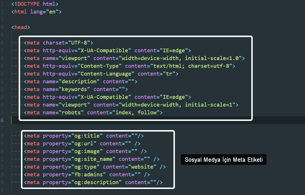 Roadmap html CSS. 26 Div 8.